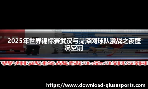 2025年世界锦标赛武汉与菏泽网球队激战之夜盛况空前